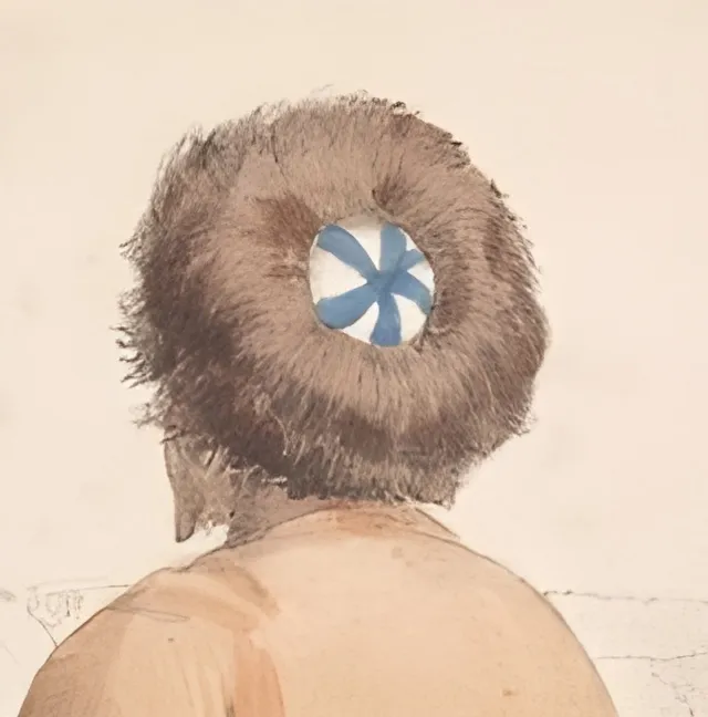 Profile of the developer